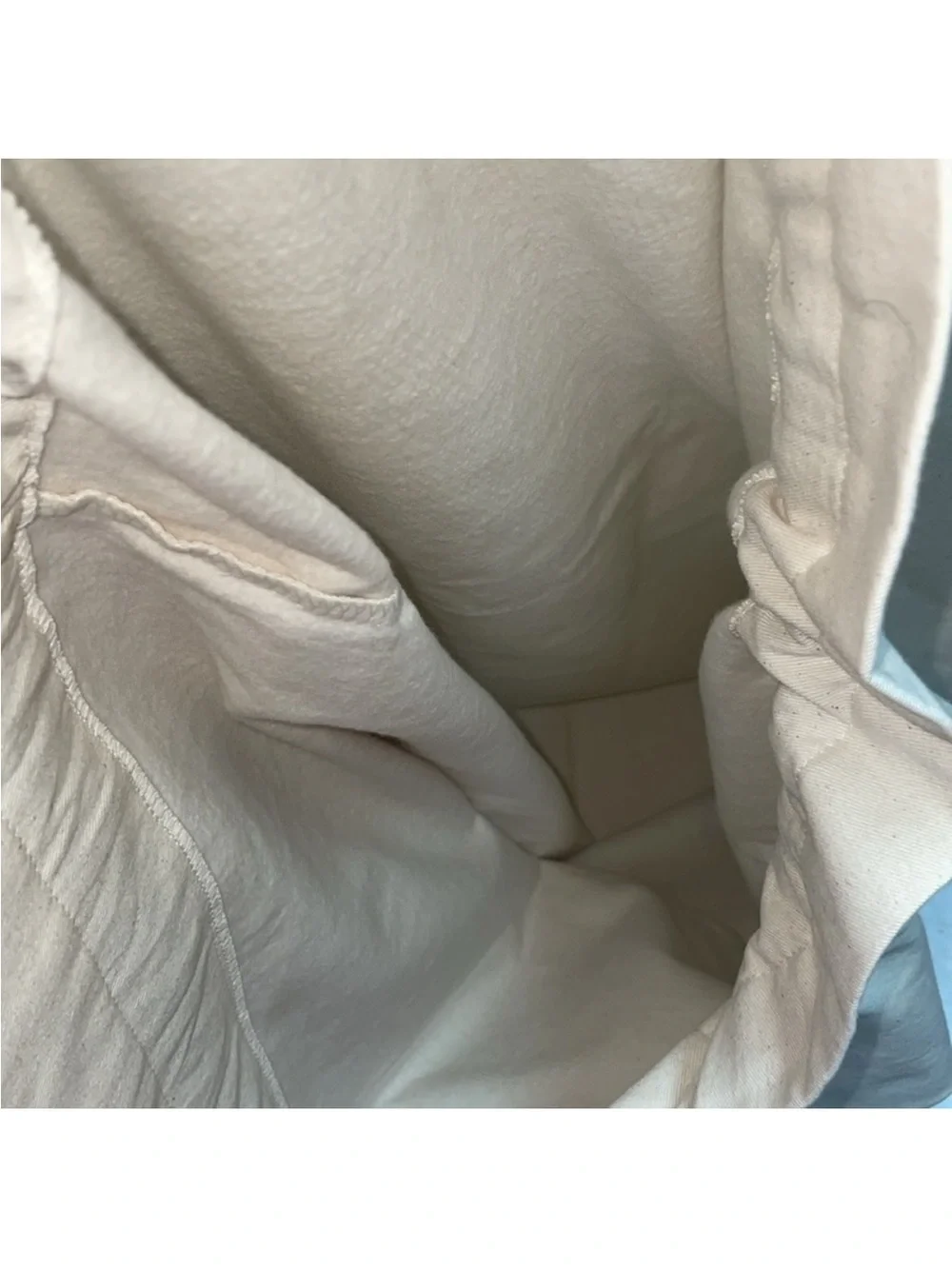 Coach Large Canvas Dust Bag
